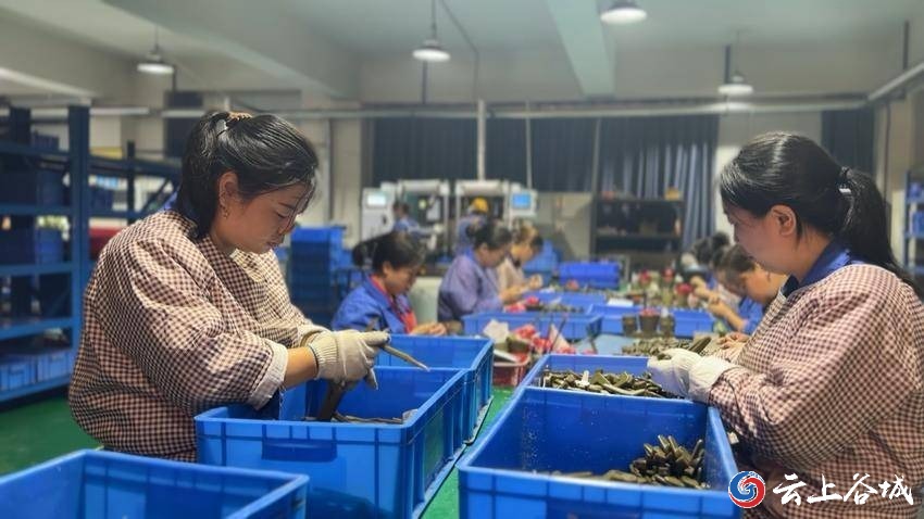 年銷售收入突破8000萬元！襄陽立強(qiáng)機(jī)械訂單飽和產(chǎn)銷兩旺