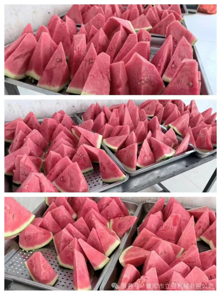 盛夏深耕結(jié)碩果，創(chuàng)新奮進(jìn)正當(dāng)時（七月篇）